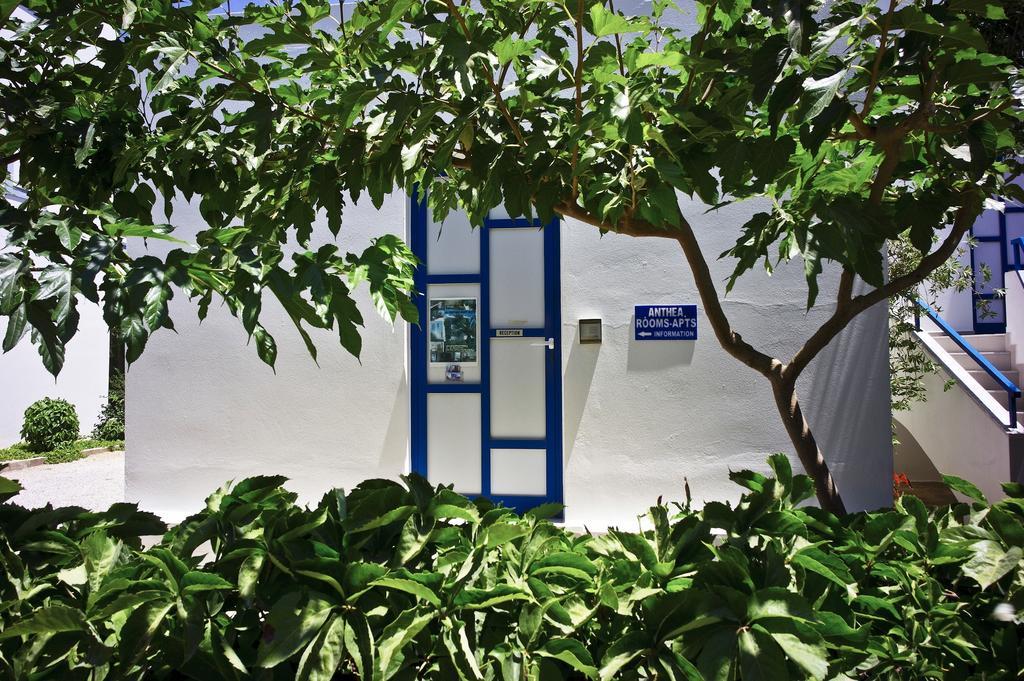 Anthea Apartments Palaiochora Dış mekan fotoğraf