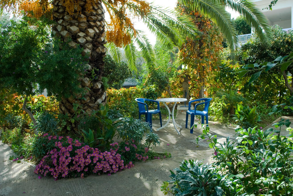 Anthea Apartments Palaiochora Dış mekan fotoğraf